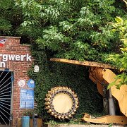 IMG-20260809-WA0004